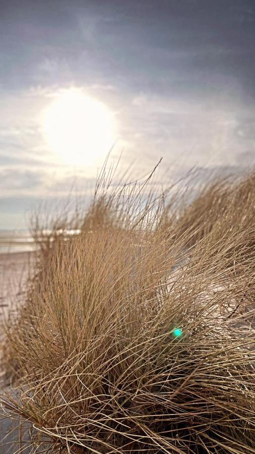 Apartmán Habel Whg 9 Deichkieker Wyk auf Föhr Exteriér fotografie